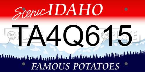TA4Q615 Idaho License Plate