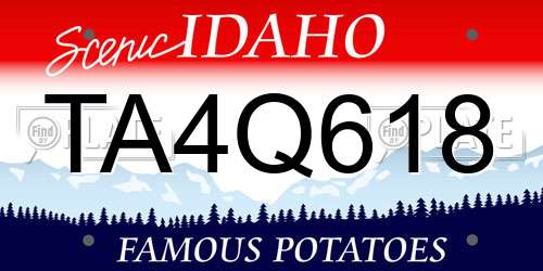 TA4Q618 Idaho License Plate