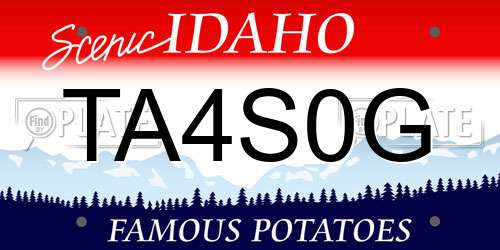TA4S0G Idaho License Plate
