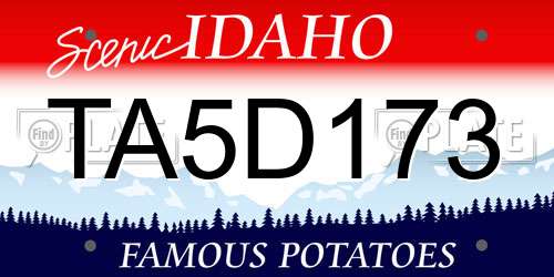 TA5D173 Idaho License Plate