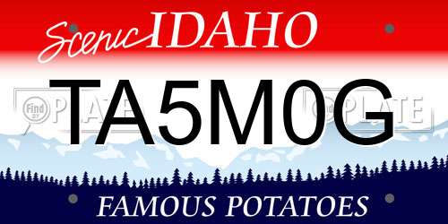TA5M0G Idaho License Plate