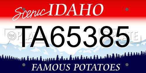 TA65385 Idaho License Plate
