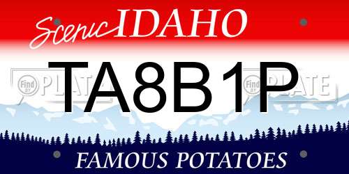 TA8B1P Idaho License Plate