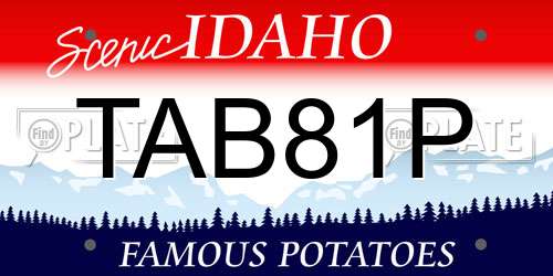 TAB81P Idaho License Plate