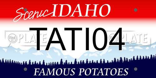 TATI04 Idaho License Plate