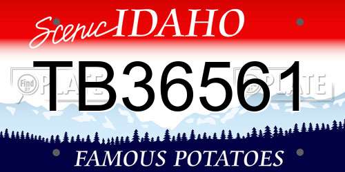 TB36561 Idaho License Plate