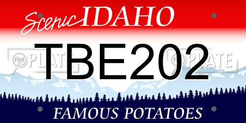 TBE202 Idaho License Plate