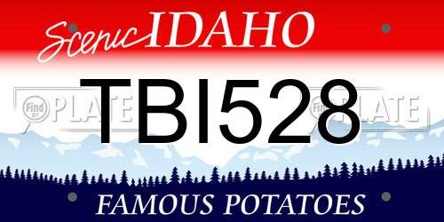 TBI528 Idaho License Plate