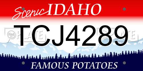 TCJ4289 Idaho License Plate