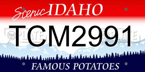 TCM2991 Idaho License Plate