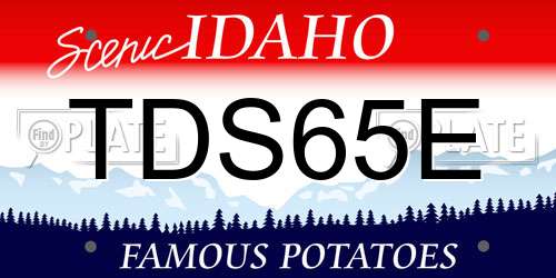 TDS65E Idaho License Plate