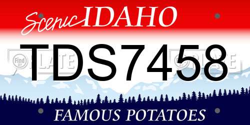 TDS7458 Idaho License Plate