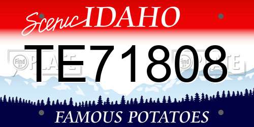 TE71808 Idaho License Plate