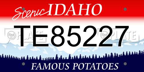 TE85227 Idaho License Plate