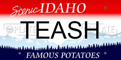 TEASH Idaho License Plate