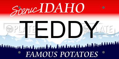 TEDDY Idaho License Plate