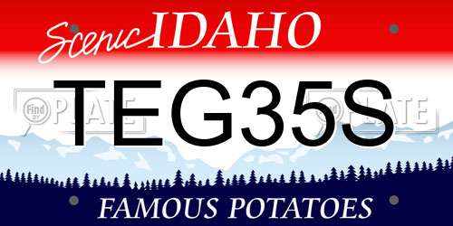 TEG35S Idaho License Plate