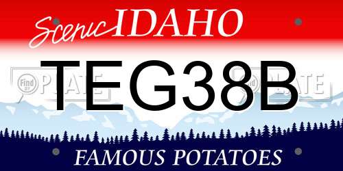 TEG38B Idaho License Plate