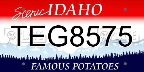 TEG8575 Idaho License Plate