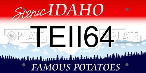 TEII64 Idaho License Plate