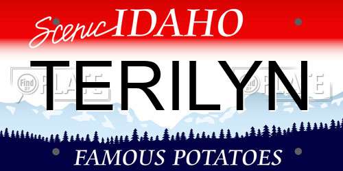 TERILYN Idaho License Plate