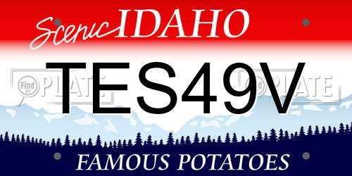 TES49V Idaho License Plate