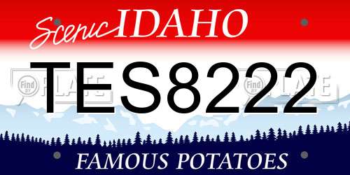TES8222 Idaho License Plate