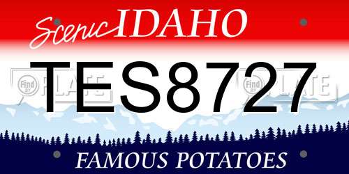 TES8727 Idaho License Plate