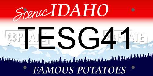TESG41 Idaho License Plate