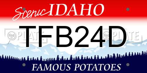 TFB24D Idaho License Plate