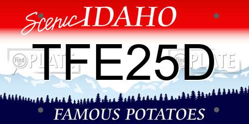 TFE25D Idaho License Plate