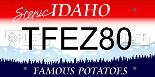 TFEZ80 Idaho License Plate