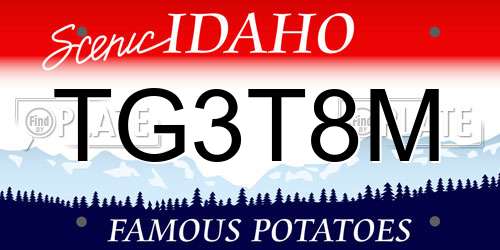 TG3T8M Idaho License Plate