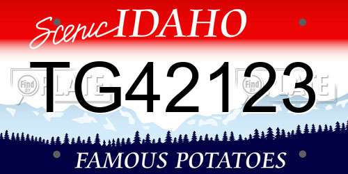 TG42123 Idaho License Plate