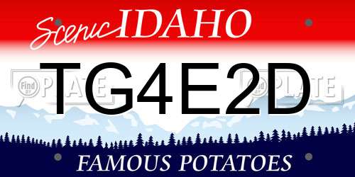 TG4E2D Idaho License Plate