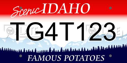 TG4T123 Idaho License Plate