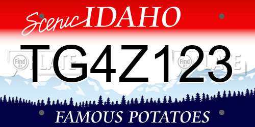 TG4Z123 Idaho License Plate