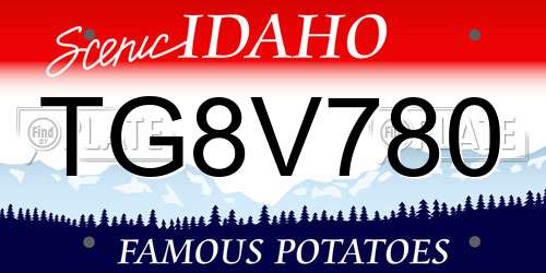 TG8V780 Idaho License Plate