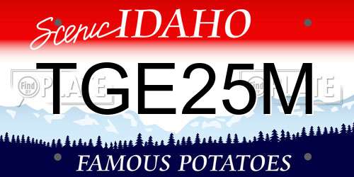 TGE25M Idaho License Plate