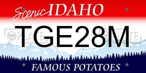 TGE28M Idaho License Plate