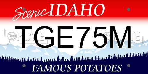 TGE75M Idaho License Plate