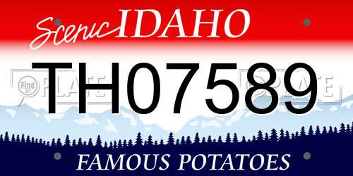 TH07589 Idaho License Plate
