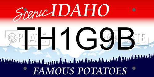 TH1G9B Idaho License Plate