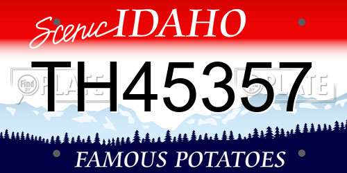 TH45357 Idaho License Plate