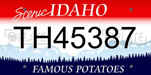 TH45387 Idaho License Plate