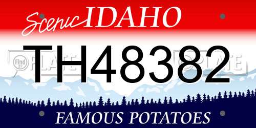 TH48382 Idaho License Plate