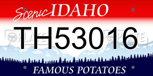 TH53016 Idaho License Plate