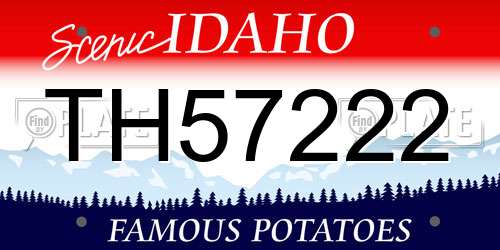 TH57222 Idaho License Plate