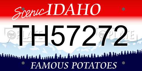 TH57272 Idaho License Plate