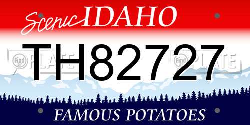 TH82727 Idaho License Plate